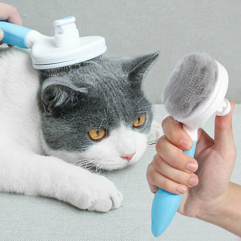 Super Massageador e Removedor de Pelos para Cães e Gatos